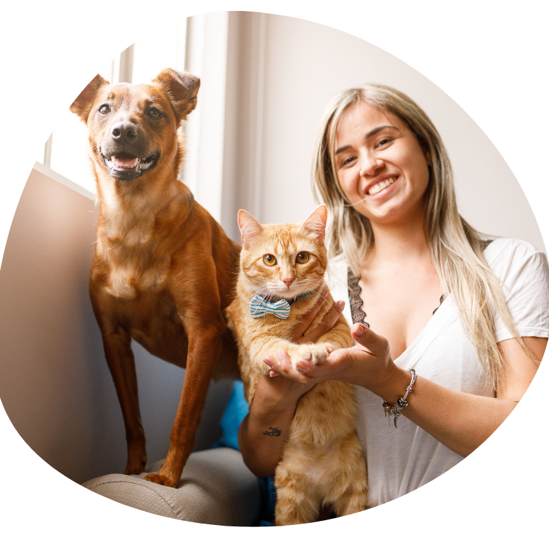 Dog see and girl hold cats feet set on sofa PNG